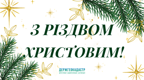 різдво 2025 біло-зел